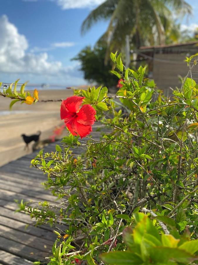 Estalagem Sol De Boipeba Otel Velha Boipeba Dış mekan fotoğraf