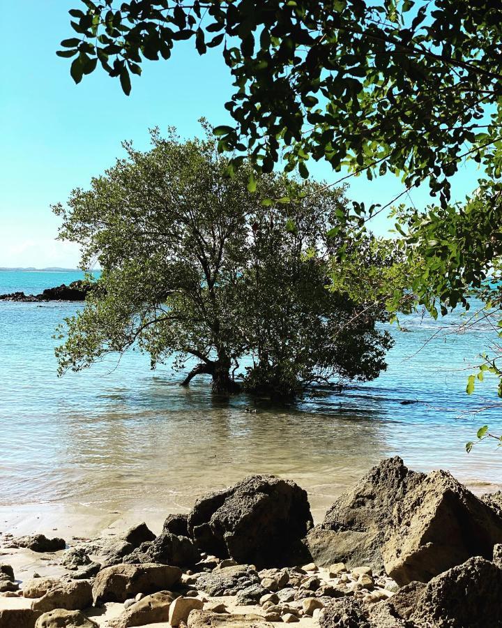 Estalagem Sol De Boipeba Otel Velha Boipeba Dış mekan fotoğraf